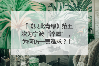 《只此青绿》第五次为宁波“淬墨”，为何仍一票难求？