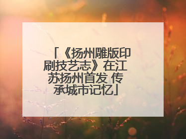 《扬州雕版印刷技艺志》在江苏扬州首发 传承城市记忆