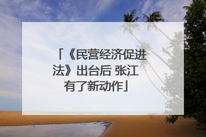 《民营经济促进法》出台后 张江有了新动作