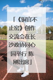 《铜官不止窑》创作交流会在长沙政协同心园举行 陈刚出席