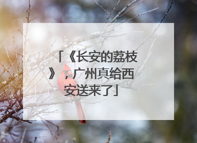 《长安的荔枝》，广州真给西安送来了