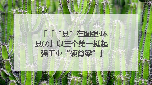 「“县”在图强·环县②」以三个第一挺起强工业“硬脊梁”