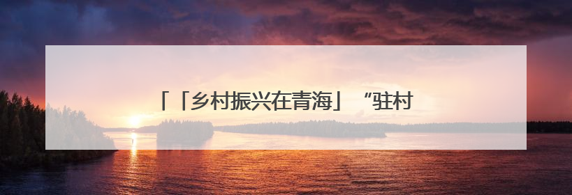 「乡村振兴在青海」“驻村”更“助村” 实干促振兴