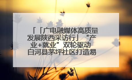 「广电融媒体高质量发展陕西采访行」“产业+就业”双轮驱动 白河县茅坪社区打造易地搬迁后扶新样本