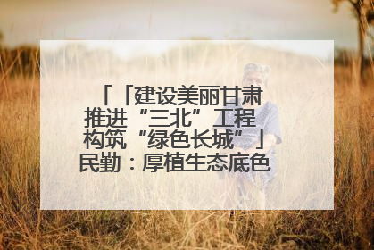 「建设美丽甘肃 推进“三北”工程 构筑“绿色长城”」民勤：厚植生态底色 筑牢绿色屏障