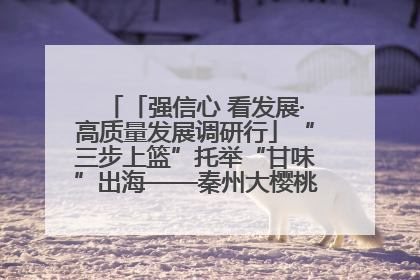 「强信心 看发展·高质量发展调研行」“三步上篮”托举“甘味”出海——秦州大樱桃高质量发展动作分解