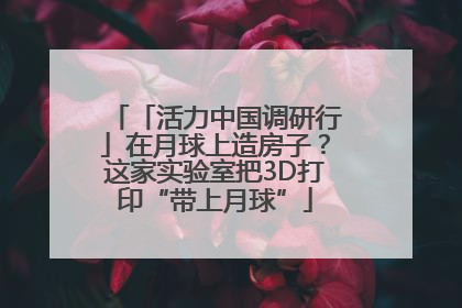 「活力中国调研行」在月球上造房子？这家实验室把3D打印“带上月球”