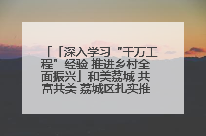 「深入学习“千万工程”经验 推进乡村全面振兴」和美荔城 共富共美 荔城区扎实推进乡村振兴工作