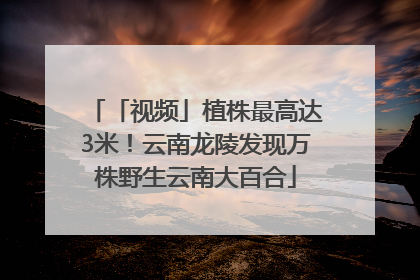 「视频」植株最高达3米！云南龙陵发现万株野生云南大百合