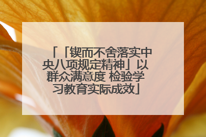 「锲而不舍落实中央八项规定精神」以群众满意度 检验学习教育实际成效