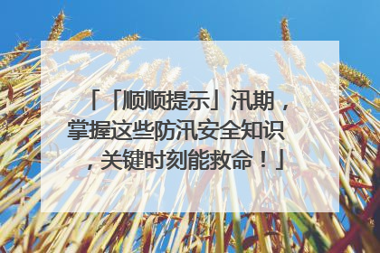 「顺顺提示」汛期，掌握这些防汛安全知识，关键时刻能救命！