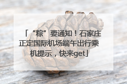 “粽”要通知！石家庄正定国际机场端午出行乘机提示，快来get