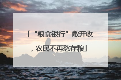“粮食银行”敞开收，农民不再愁存粮