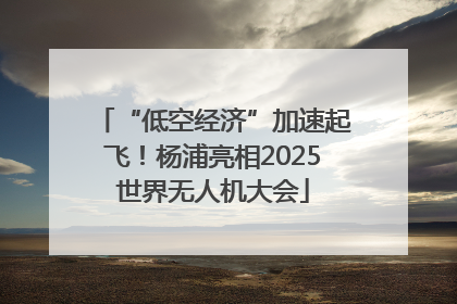 “低空经济”加速起飞！杨浦亮相2025世界无人机大会