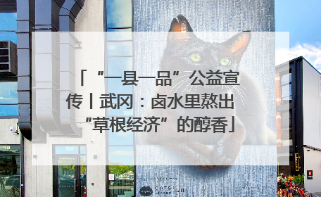 “一县一品”公益宣传丨武冈：卤水里熬出“草根经济”的醇香