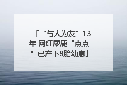 “与人为友”13年 网红麋鹿“点点”已产下8胎幼崽