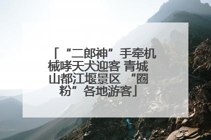 “二郎神”手牵机械哮天犬迎客 青城山都江堰景区 “圈粉”各地游客