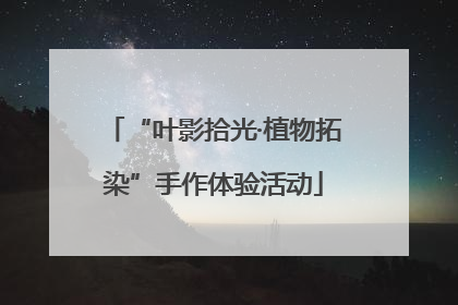 “叶影拾光·植物拓染”手作体验活动