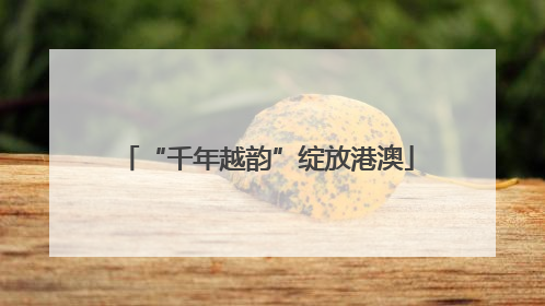 “千年越韵”绽放港澳