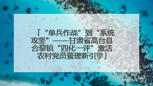 “单兵作战”到“系统攻坚”——甘肃省高台县合黎镇“四化一评”激活农村党员管理新引擎