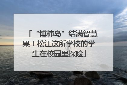 “博柿岛”结满智慧果！松江这所学校的学生在校园里探险