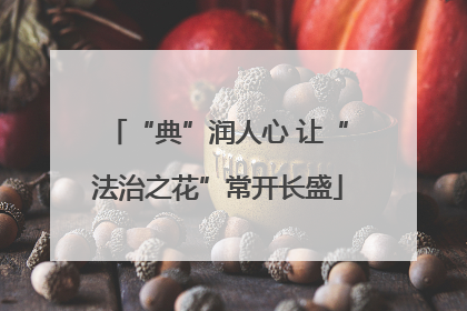“典”润人心 让“法治之花”常开长盛