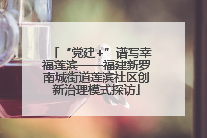 “党建+”谱写幸福莲滨——福建新罗南城街道莲滨社区创新治理模式探访