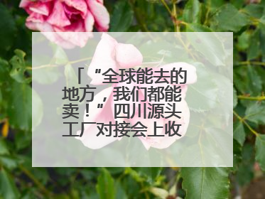 “全球能去的地方，我们都能卖！”四川源头工厂对接会上收获海量意向