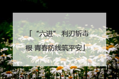 “六进” 利刃斩毒根 青春防线筑平安