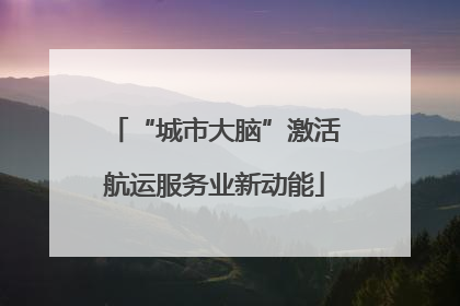 “城市大脑”激活航运服务业新动能