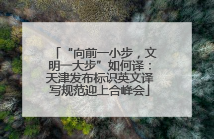 “向前一小步，文明一大步”如何译：天津发布标识英文译写规范迎上合峰会
