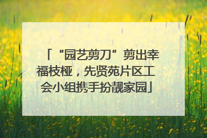 “园艺剪刀”剪出幸福枝桠，先贤苑片区工会小组携手扮靓家园