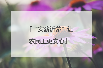 “安薪沂蒙”让农民工更安心