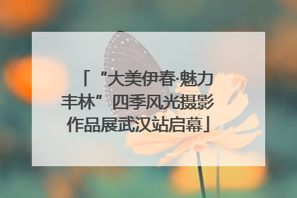 “大美伊春·魅力丰林”四季风光摄影作品展武汉站启幕