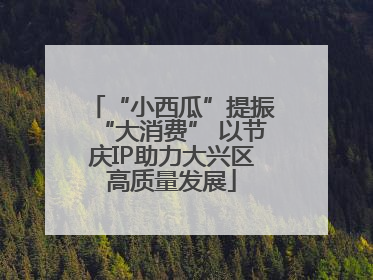 “小西瓜”提振“大消费” 以节庆IP助力大兴区高质量发展