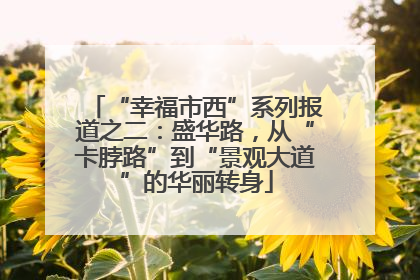 “幸福市西”系列报道之二：盛华路，从“卡脖路”到“景观大道”的华丽转身