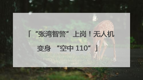 “张湾智警”上岗！无人机变身 “空中 110”