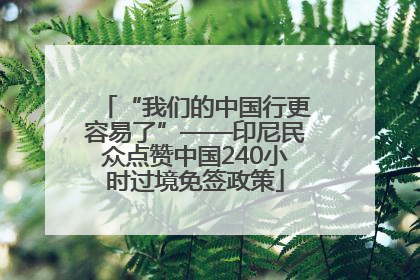 “我们的中国行更容易了”——印尼民众点赞中国240小时过境免签政策