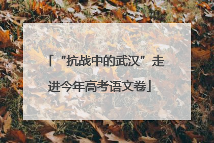 “抗战中的武汉”走进今年高考语文卷