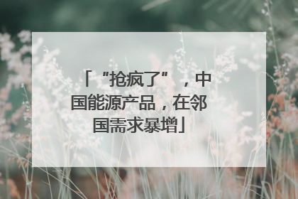 “抢疯了”，中国能源产品，在邻国需求暴增
