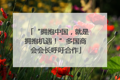 “拥抱中国，就是拥抱机遇！”多国商会会长呼吁合作