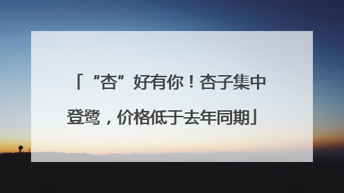 “杏”好有你！杏子集中登鹭，价格低于去年同期