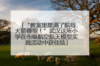 “教室里摆满了航母、火箭模型！”武汉这所小学在市级航空航天模型实践活动中获佳绩
