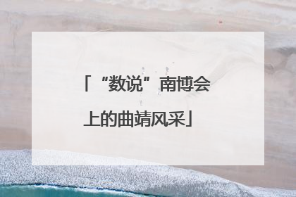 “数说”南博会上的曲靖风采