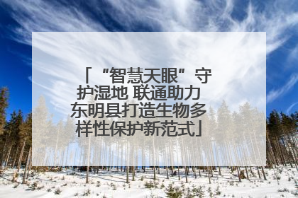 “智慧天眼”守护湿地 联通助力东明县打造生物多样性保护新范式
