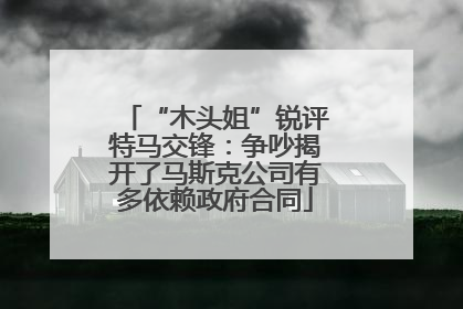 “木头姐”锐评特马交锋：争吵揭开了马斯克公司有多依赖政府合同