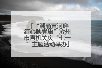 “潮涌黄河畔 红心映党旗”滨州市直机关庆“七一”主题活动举办