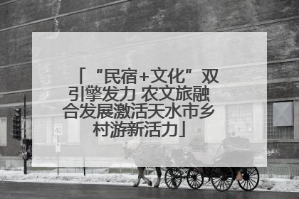 “民宿+文化”双引擎发力 农文旅融合发展激活天水市乡村游新活力