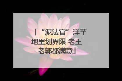 “泥法官”洋芋地里划界限 老王老郭都满意