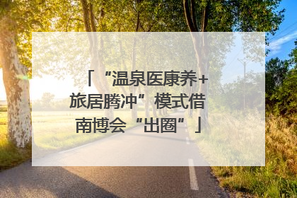 “温泉医康养+旅居腾冲”模式借南博会“出圈”